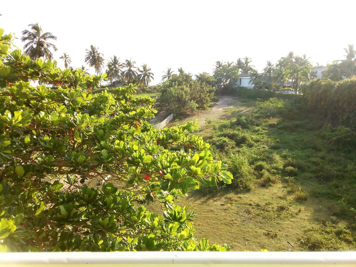 Kitewind Apartamentos Cabarete Dış mekan fotoğraf